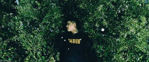 im-in-trbl:Dean ❀