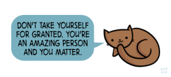 positivedoodles:  [drawing of a brown cat