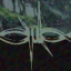 nowayout-rpg