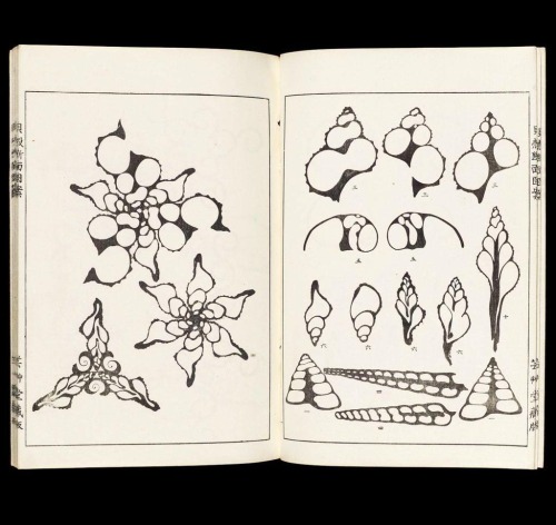 Kaigara Danmen Zuan, “Inside wonders” pattern book, 1913....