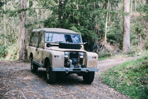 careyquintonhaider:  photography: Carey Quinton Haiderwww.careyquintonhaider.comLookbook for www.Idylwildwoods.com