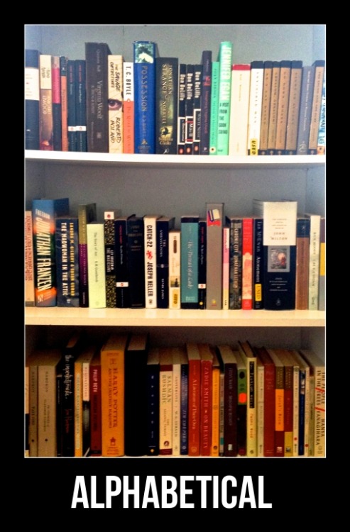 mr-baberaham-lincoln: nmsnerd: hulklinging: huffpostbooks: What’s Your Book Shelfie Style? Thi