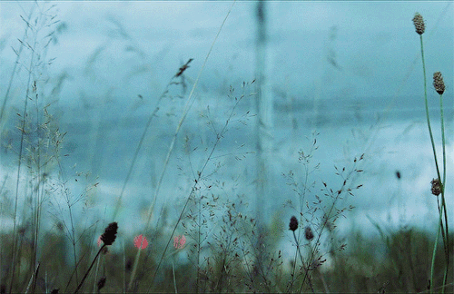 The World Does Keep Moving, And It Can Be A Damn Cruel Place. But For Me, Those Moments Of Stillness:
