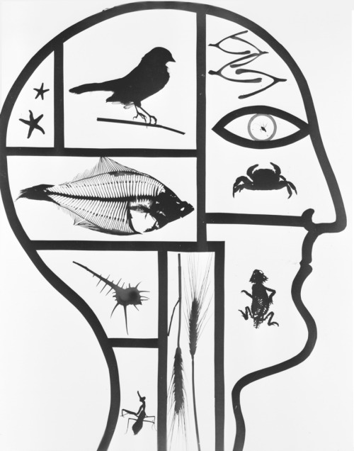 Inside the Mind of Man, Virna Haffer, circa 1935-1942.