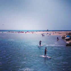 Puta vida tt (en Conil De La Frontera (Cádiz))