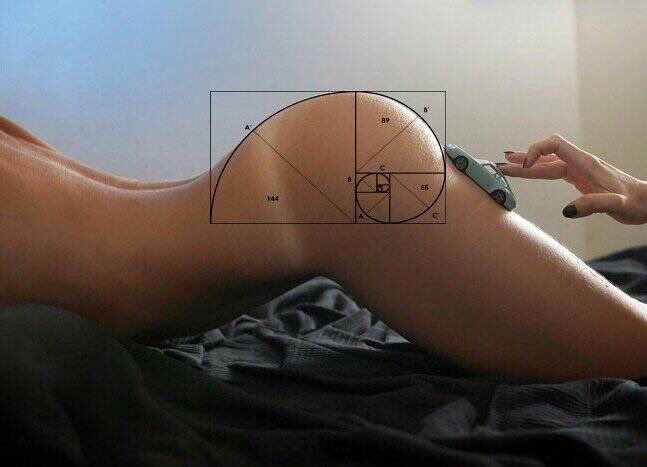 yourdirtylittlepet:I have the Fibonacci Sequence as a tattoo, so this filled me with