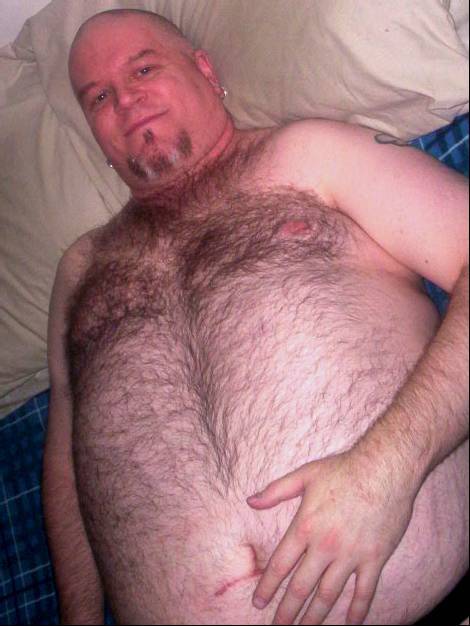 Hollandbear