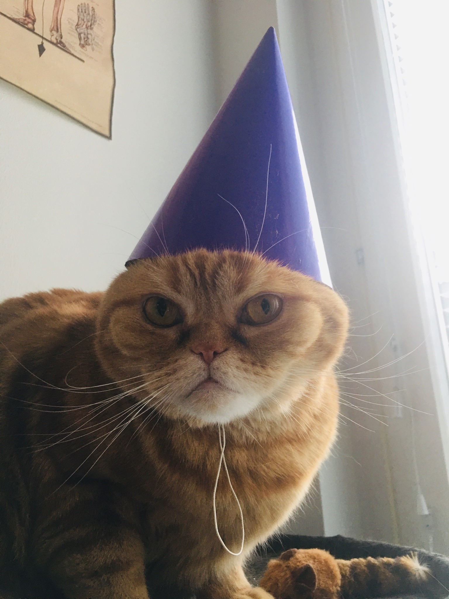 ikipin:i’m howling pls look at him