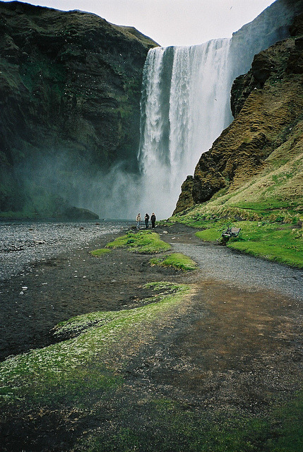calms:  nature/vintage blog 