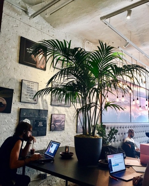 Wanna make your juice place cooler? Put a huge plant on a table, apparently. #juice #nyc #flashbackf