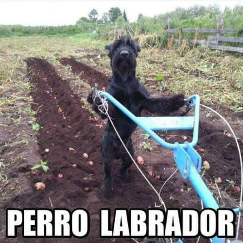 Visita mi tumblr