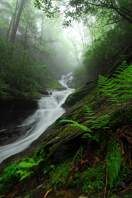 Roaring Fork Falls by Mark VanDyke Photography on Flickr.Roaring Fork Falls - Western North Carolina