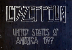 calimarikid:  Led Zeppelin