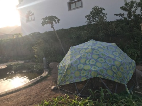 Geodesic domes for chickens