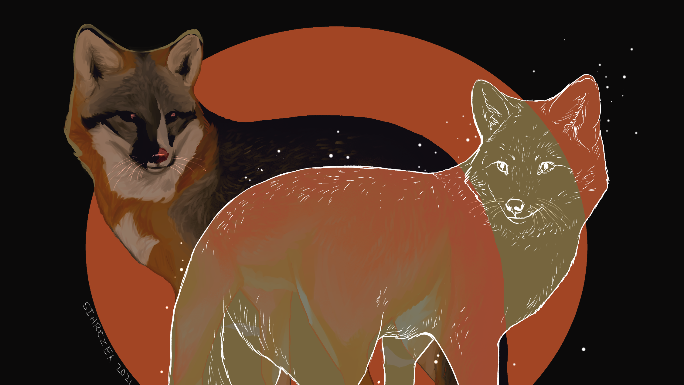 picture Wolf Oc Ideas wolf oc on tumblr