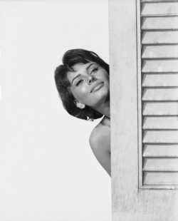 siyahalbatros:Sophia Loren in Houseboat (1958)