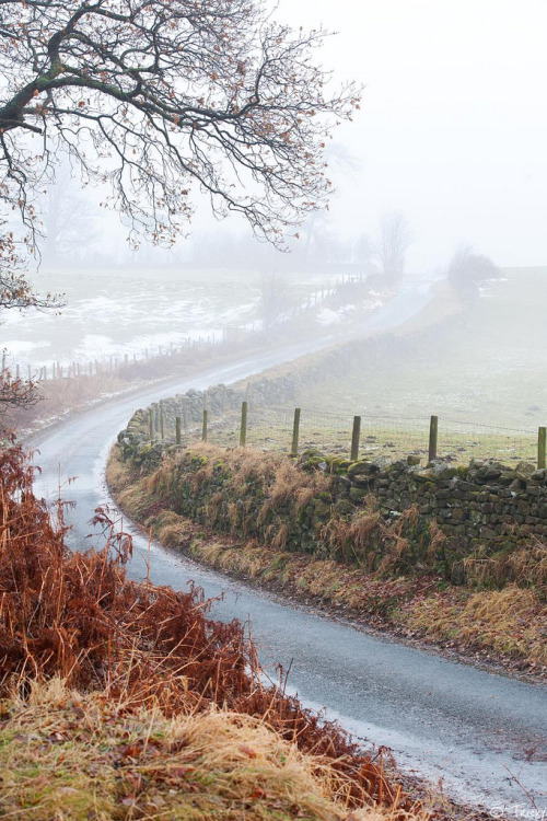old-arcadia:Foggy wintery lane, Masham, North Yorkshire (by tricky (rick harrison))