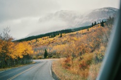 lasplayaslasmontanas:  And a glimpse of misty mountains comes into view. Entering Many Glacier on a crisp fall day. 