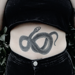 poedaumeron:  moodboard: slytherin wlw 
