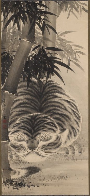 mia-japanese-korean: Sleeping Tiger in Bamboo, Watanabe Shusen, late 18th century, Minneapolis Insti