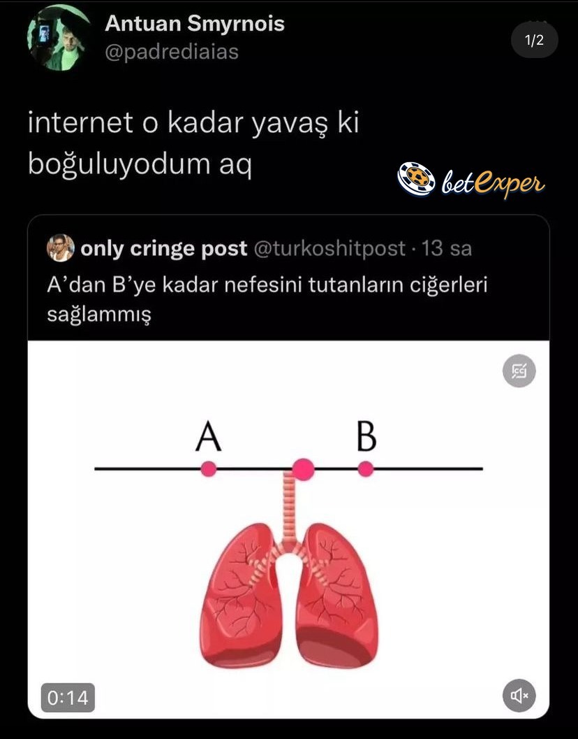 TR'de internet...