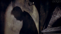 lesbianforhorror:  I am Dracula and I welcome you to my house. 