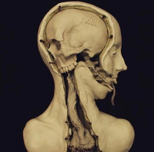 psychopathicneighbor:An inverted human by Emil Melmoth. 