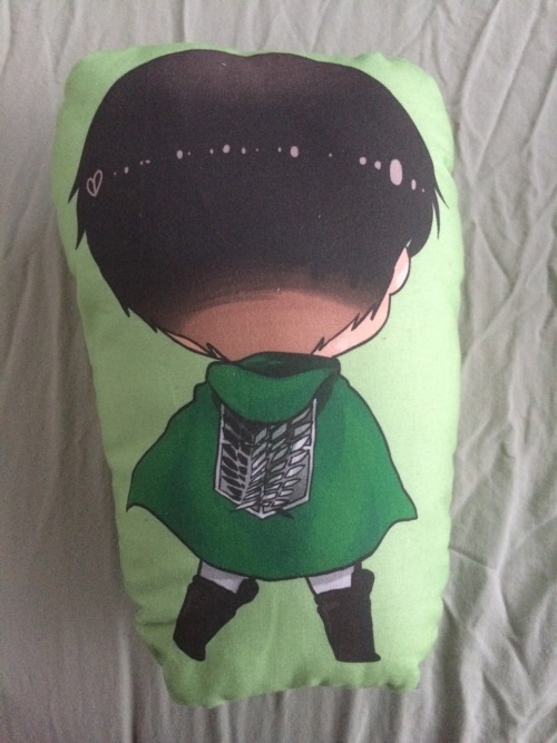 I got this adorable pillow from astrollation but she hasn’t created a Mikasa one yet so Levi is sadSeriously though look at how adorably sad he is TvT