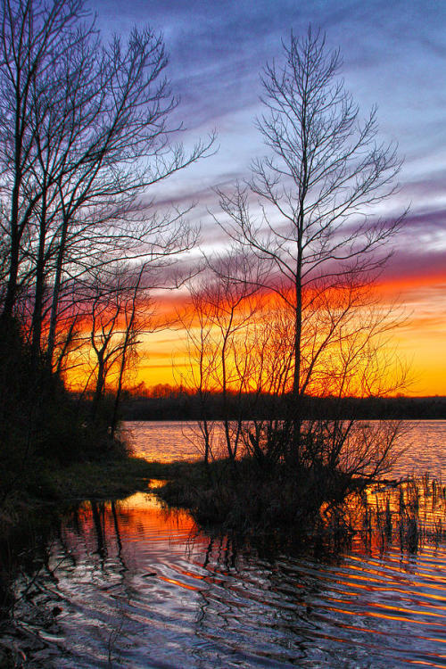 sublim-ature:Saffron Sunset by Mitch Cat 