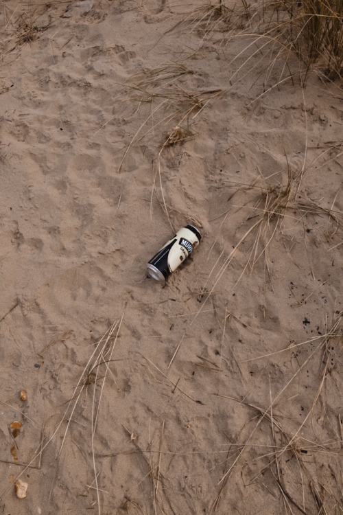 Beachcomber - weekly round up of my daily walks along the beach and findsGRD III | X100Blatant plug 