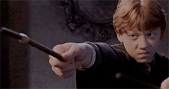 harrypottzr:    Everyone expects me to do as well as the others, but if I do, it’s no big deal, because they did it first.   