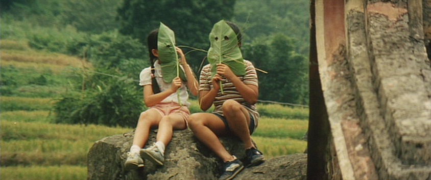 pickypicnic:  green green grass of home (1983)
