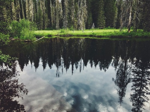 justapplyyourself:Little Crater Lake. Mt. Hood Wilderness, Oregon.