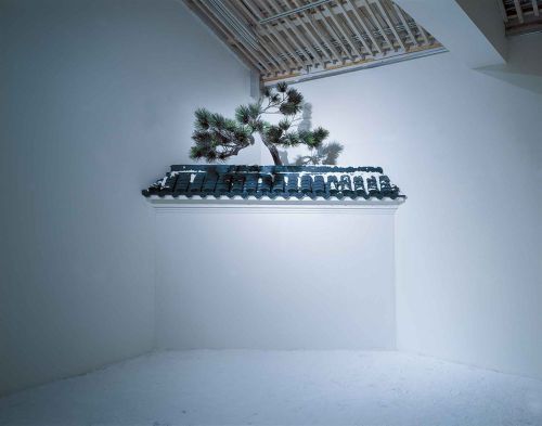 orientallyyours: Installations by Ma Jun 马军 of bamboo and pine and plum trees, using fake bamboo, fa