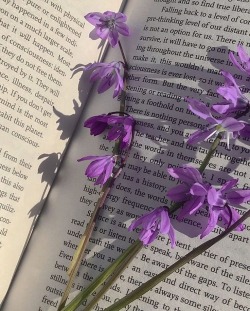 violet on Tumblr