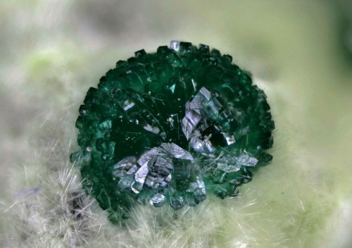 vugnasmineralblog:    Olivenite Cornwallite & Agardite-(Ce)Clara Mine, Wolfach, Black Forest, Baden-Württemberg, Germany  