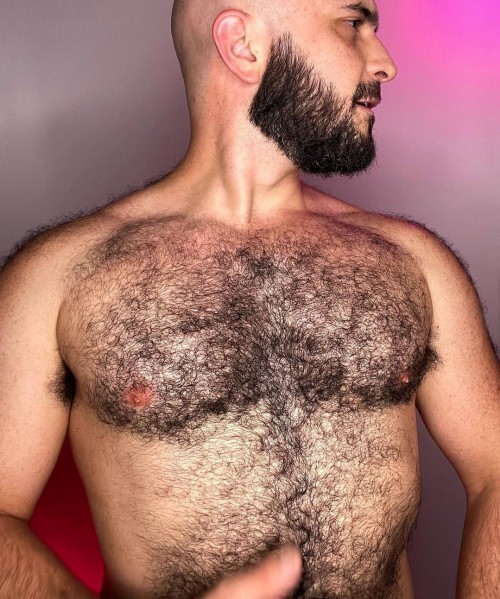 adammitchlove: These guys have the hairiest chests in the world. They are like hairy jungles. Which 