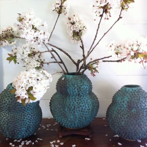 #wildcherry #gourd #vase #durian #etsy #mariellemacvilleceramics #mariellemacville #flowers