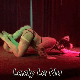 ladylenu: A peak of last nights performance.