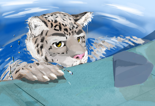 uiojk7:  I drew this quite a while ago, just posting it to Tumblr now. A snow leopard taking a swim. 