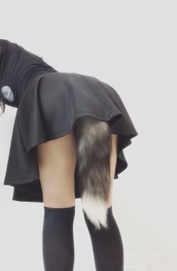 puppyhandler:Nice tail.