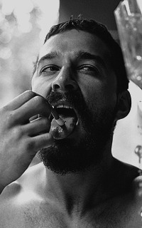 feuilledecarotte:  Shia Labeouf 200x320 by FeuilleDeCarotte