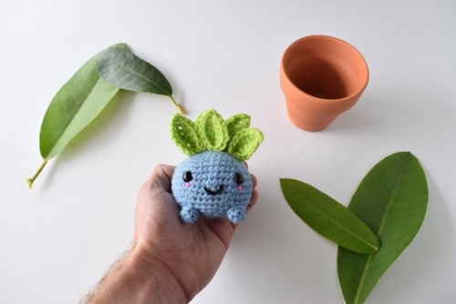knot-bad:Sprouting Oddish