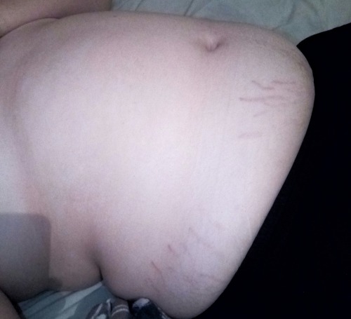 There's A New Belly In Town...