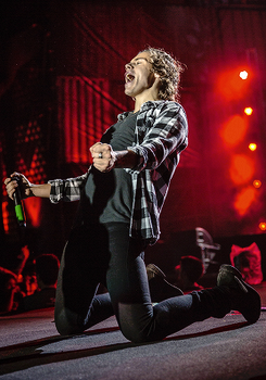 putaindeballerine:  Harry in “One Direction: The Official Annual 2015” x 