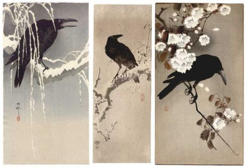 mistkindred: OHARA, Shoson (aka, Koson) “Crow on a Snowy Branch” c1911