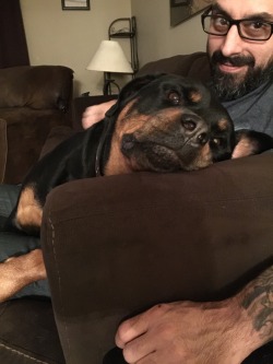 Lucifer the lap dog