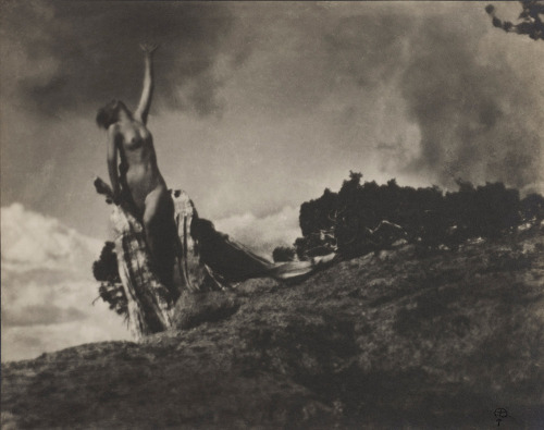 nevver:Season of the Witch, Anne Brigman
