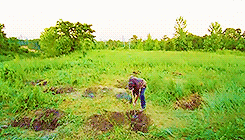 johnwatsoning:  the walking dead meme » [1/3] colors     ↳ green 