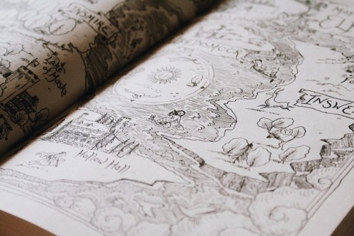 abookinmybag:The Cruel Prince by Holly Black